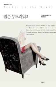 밤은 부드러워 2 (세계문학의 숲 039)